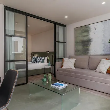 Luxury Apartment, Downtown Near Metro Apartment *